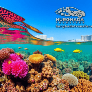 THE 15 BEST Things to Do in Hurghada